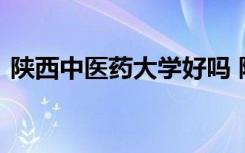 陕西中医药大学好吗 陕西中医药大学的简介