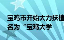 宝鸡市开始大力扶植宝鸡文理学院 力求其更名为“宝鸡大学