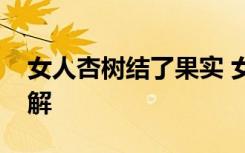 女人杏树结了果实 女人杏树结了果实怎么理解