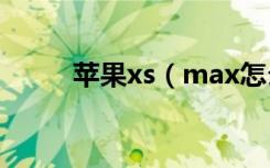 苹果xs（max怎么删除桌面应用）