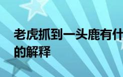 老虎抓到一头鹿有什么启示 老虎抓到一头鹿的解释