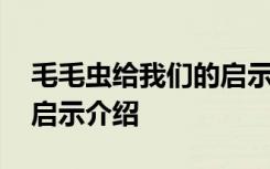 毛毛虫给我们的启示是什么 毛毛虫给我们的启示介绍