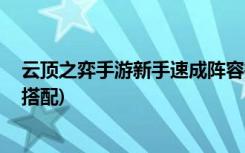 云顶之弈手游新手速成阵容推荐什么 (金铲铲之战龙族怎么搭配)