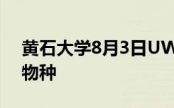 黄石大学8月3日UW研究中心演讲中的入侵物种