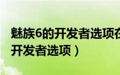 魅族6的开发者选项在哪里（魅族v8怎么打开开发者选项）