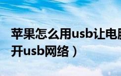 苹果怎么用usb让电脑上网（苹果怎么给电脑开usb网络）