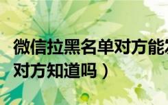 微信拉黑名单对方能发消息吗（微信拉黑名单对方知道吗）