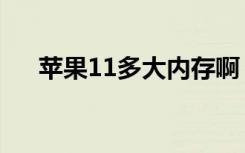 苹果11多大内存啊（苹果11多大内存）