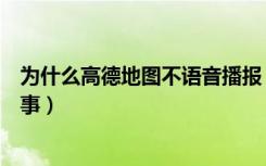 为什么高德地图不语音播报（高德地图没有语音播报怎么回事）