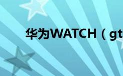 华为WATCH（gt2支持独立通话吗）