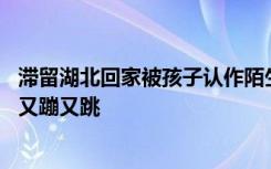 滞留湖北回家被孩子认作陌生人 当认出来妈妈后孩子高兴地又蹦又跳