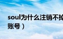 soul为什么注销不掉（soul为什么注销不了账号）