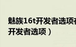 魅族16t开发者选项在哪（魅族16T怎么打开开发者选项）