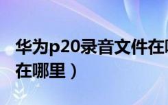 华为p20录音文件在哪个文件（华为p20录音在哪里）