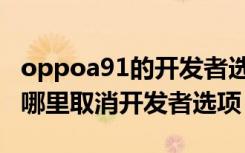 oppoa91的开发者选项在哪里（oppoa91在哪里取消开发者选项）