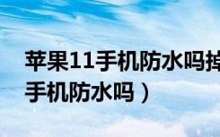 苹果11手机防水吗掉水里了怎么办（苹果11手机防水吗）