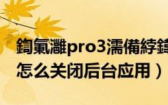 鍧氭灉pro3濡備綍鍏抽棴绋嬪簭（坚果pro2怎么关闭后台应用）