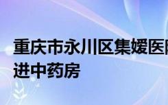 重庆市永川区集嫒医院邀请神女湖小学学生走进中药房