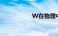 W在物理中表示什么