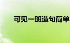 可见一斑造句简单一点 可见一斑造句