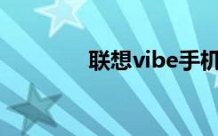 联想vibe手机（联想VIBE）