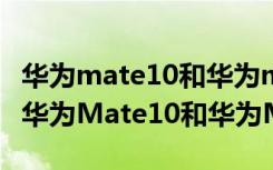 华为mate10和华为mate10pro有什么区别（华为Mate10和华为Mate10）