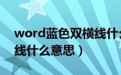 word蓝色双横线什么意思（word蓝色双横线什么意思）