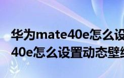 华为mate40e怎么设置动态拍照（华为mate40e怎么设置动态壁纸）