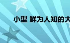 小型 鲜为人知的大学如何保持相关性