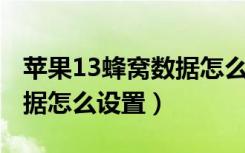 苹果13蜂窝数据怎么设置5g（苹果13蜂窝数据怎么设置）