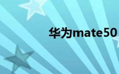 华为mate50（华为Mate）