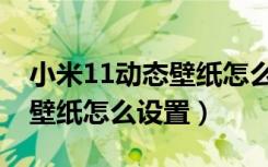 小米11动态壁纸怎么设置声音（小米11动态壁纸怎么设置）