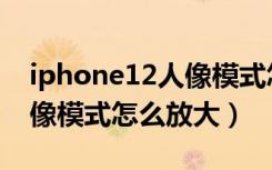 iphone12人像模式怎么设置（iphone12人像模式怎么放大）