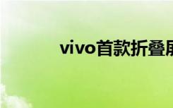 vivo首款折叠屏手机（VIVO）