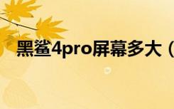 黑鲨4pro屏幕多大（黑鲨4pro屏幕多大）