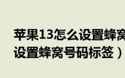 苹果13怎么设置蜂窝号码标签（苹果13怎么设置蜂窝号码标签）