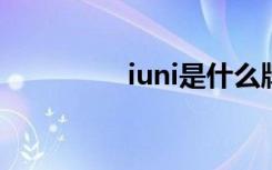 iuni是什么牌子（IUNI）