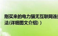 刚买来的电力猫无互联网连接（电力猫是什么电力猫使用方法(详细图文介绍)）