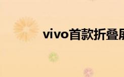 vivo首款折叠屏手机（VIVO）