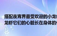 搭配夜宵界最受欢迎的小龙虾（小鸡宝宝考考你夜宵霸主小龙虾它们的心脏长在身体的什么位置）