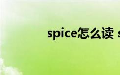 spice怎么读 spice英文解释