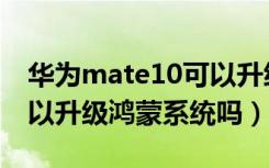 华为mate10可以升级鸿蒙（华为mate10可以升级鸿蒙系统吗）