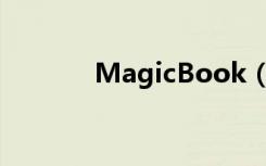 MagicBook（14有雷电3吗）