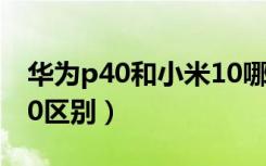 华为p40和小米10哪个值（华为p40和小米10区别）