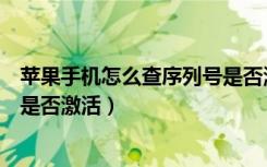 苹果手机怎么查序列号是否激活（苹果官网怎么查询序列号是否激活）