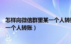 怎样向微信群里某一个人转账隐藏金额（怎样向微信群里某一个人转账）