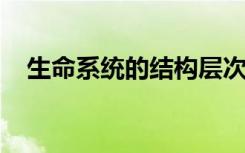 生命系统的结构层次从小到大依次是什么