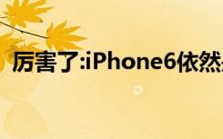 厉害了:iPhone6依然是最多人用的iOS设备