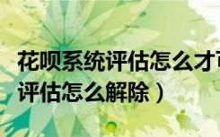 花呗系统评估怎么才可以使用花呗（花呗系统评估怎么解除）