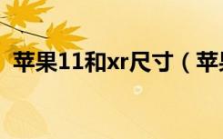 苹果11和xr尺寸（苹果11和xr尺寸一样吗）